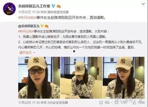 弘阳天悦最新爆料新闻视频,揭秘神秘项目背后的惊人真相！