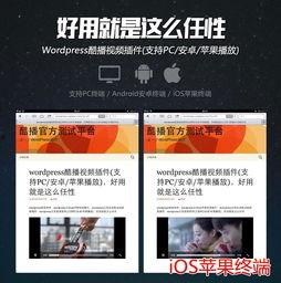 最酷的爆料视频下载网页,下载网页背后的秘密大公开 第2张 最酷的爆料视频下载网页,下载网页背后的秘密大公开 第2张