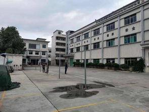 东莞石排最新爆料,揭秘城市变迁背后的故事